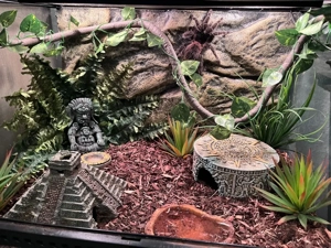 Exo Terra Terrarium 60   45   45 cm