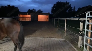 Offenstall für Selbstversorger