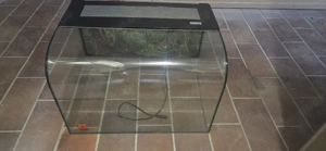 Terrarium   Aquarium 