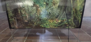 Terrarium   Aquarium 