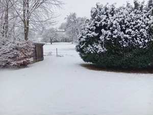 Ruhige möblierte Wohnung 