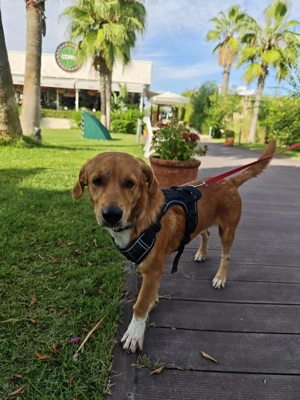 Bruno sucht seine Herzensmenschen 