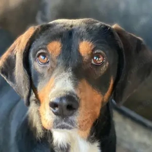 Kabelo, geb. ca. 04 2024, lebt in GRIECHENLAND, auf einer privaten Pflegestelle