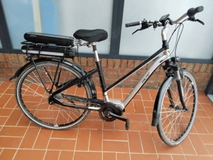 E-Bike Falter Trapez mit zwei Akkus
