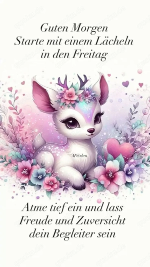 suche einen roten kater 