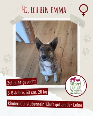 Wunderschöne Emma sucht ein Zuhause