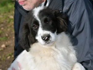 Letizia sucht ihr Zuhause (noch auf Sardinien)