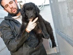 Nutella sucht ihr Zuhause Bild 2