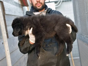 Nutella sucht ihr Zuhause Bild 3