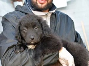 Nutella sucht ihr Zuhause Bild 4