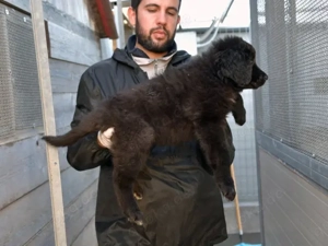 Nutella sucht ihr Zuhause Bild 5