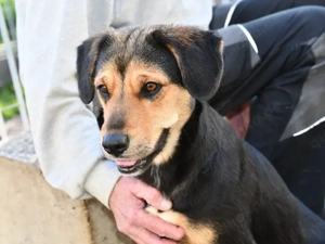 Atena sucht ihr Zuhause