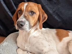 Christhie sucht ihr Zuhause