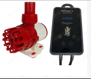 Royal Exclusiv Pumpe