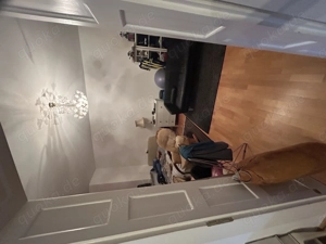 1-Zimmer (23 m ) in 100 m  Wohnung   NK inkl.