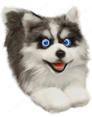 MetaDog Roboter Hund, Husky, therapeutischer Hund, Demenz