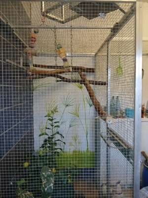 Aluminium Volieren  Bild 2