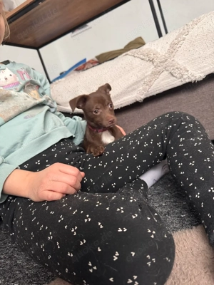 winderschönes mädel abzugeben 