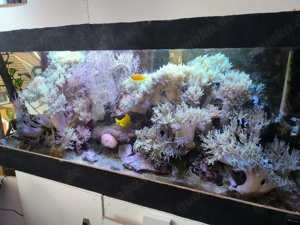  Meerwasser Aquarium 160*50*60