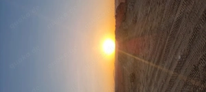 Dringend Wohnung gesucht in Leonberg und Umgebung