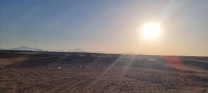 Dringend Wohnung gesucht in Leonberg und Umgebung