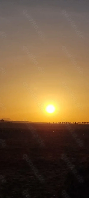 Dringend Wohnung gesucht in Leonberg und Umgebung