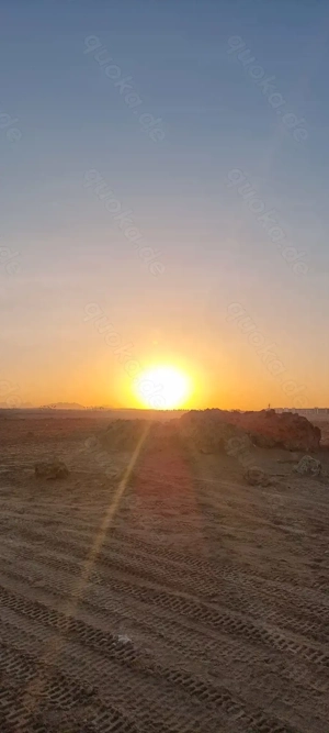 Dringend Wohnung gesucht in Leonberg und Umgebung