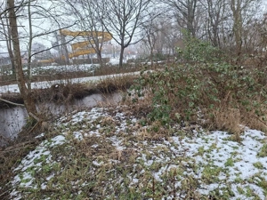 Freizeitgrundstück (Erholungsfläche) an der Osterau in Bad Bramstedt  Bild 9