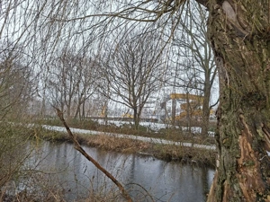 Freizeitgrundstück (Erholungsfläche) an der Osterau in Bad Bramstedt  Bild 8
