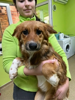 Jacky mit großem herzen 