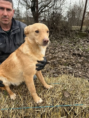 Coby sucht dringend eine familie