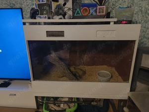 Terrarium inkl Schlange 