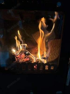 Kaminofen Assos   7,78 kW   guter Zustand