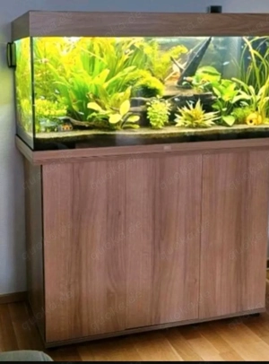 Aquarium Rio180 komplett