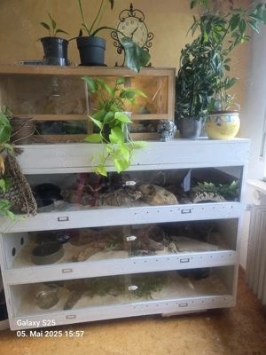 Terrarack aus Holz mit 3 Etagen 