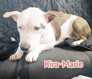 Kira-Marie hätte gerne wieder ein richtiges Zuhause