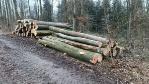 Brennholz ofenfertig zu Verkaufen 