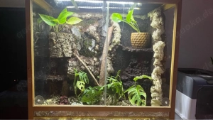 Terrarium 80x45x80 
