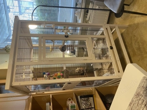 Fast neue Qualitätsvoliere f.Indoor Outdoor f. Kanarienvögel  