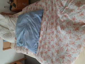 Geile  BDMS Spiele Real 