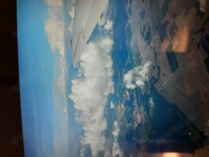 Geile Spiele im Wald  Freiburg 