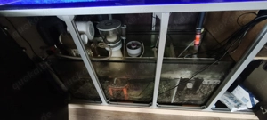 Großes Meerwasseraquarium als Raumteiler mit Korallen, Fischen & ATI Straton Flex LED Bild 3