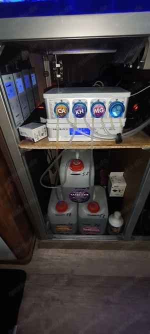 Großes Meerwasseraquarium als Raumteiler mit Korallen, Fischen & ATI Straton Flex LED Bild 2