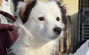 Tur möchte endlich ausreisen