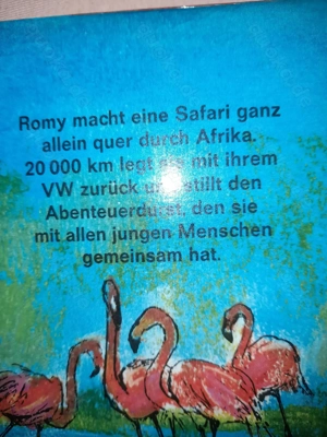 Romy Schurhammer: Meine Sehnsucht ist mein Kompass.Band 1.  : Guten Tag, Afrika! Band 2. Bild 8