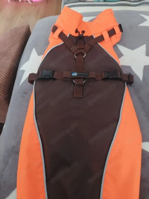 hundejacke anny x