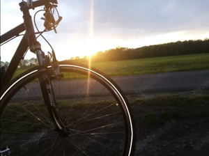 Freundin, Partnerin, Begleitung, einfach Du?? 