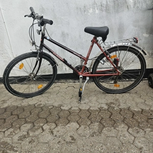 3 Fahrräder ,1 Preis 