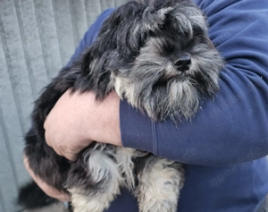 Eve, 3 Jahre, 30-35 cm, lieb