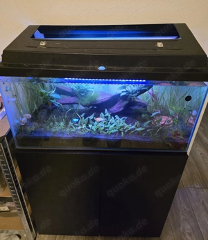 Biete komplettes Aquarium an ohne Fische
